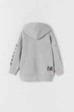 Erkek Çocuk Kapüşonlu Sweatshirt