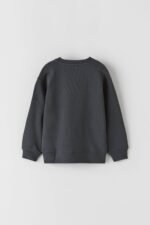 Erkek Çocuk Baskılı Sweatshirt