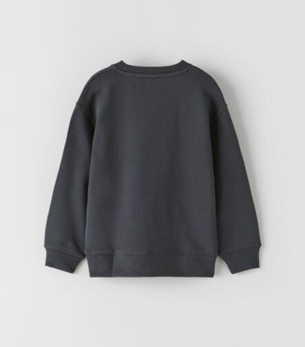Erkek Çocuk Baskılı Sweatshirt