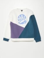 Erkek Çocuk Blok Renkli Sweatshirt