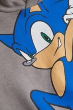 Erkek Çocuk Kapüşonlu Sweatshirt