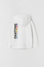 Erkek Çocuk Kapüşonlu Sweatshirt