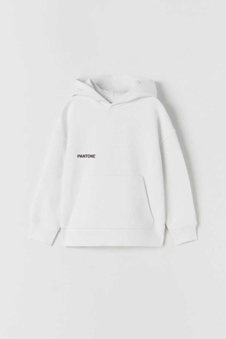 Erkek Çocuk Kapüşonlu Sweatshirt