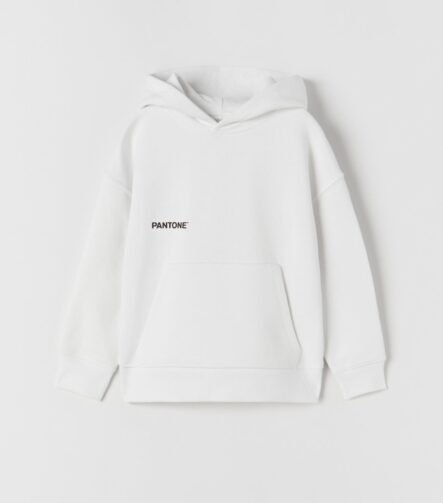 Erkek Çocuk Kapüşonlu Sweatshirt