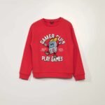 Erkek Çocuk Nakışlı Sweatshirt