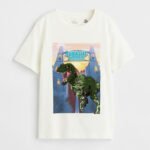 Erkek Çocuk Baskılı Pullu T-Shirt