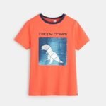 Erkek Çocuk Çift Yönlü Pullu T-Shirt