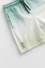 Erkek Çocuk Batik Şort - Görsel 2