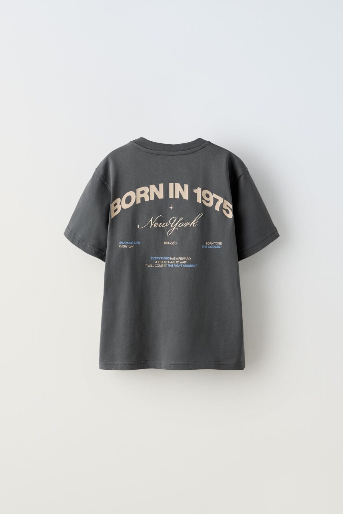 Erkek Çocuk Baskılı T-Shirt - Görsel 3