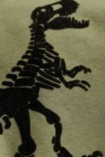 Erkek Çocuk Dinozor Baskılı Sweatshirt - Görsel 3