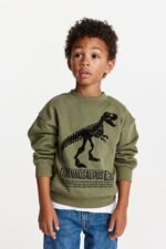 Erkek Çocuk Dinozor Baskılı Sweatshirt - Görsel 2