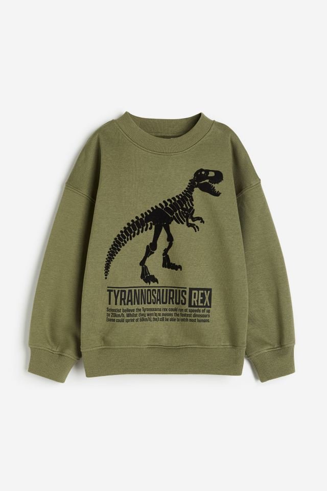 Erkek Çocuk Dinozor Baskılı Sweatshirt