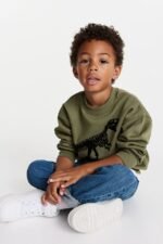 Erkek Çocuk Dinozor Baskılı Sweatshirt - Görsel 4