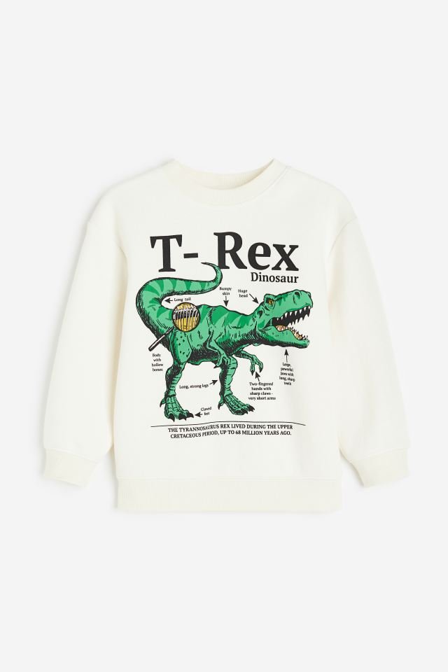 Erkek Çocuk T-Rex Baskılı Sweatshirt