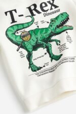 Erkek Çocuk T-Rex Baskılı Sweatshirt - Görsel 2