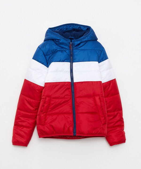 Erkek Çocuk Blok Renkli Mont