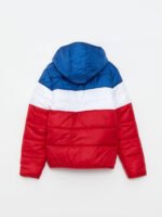 Erkek Çocuk Blok Renkli Mont - Görsel 3