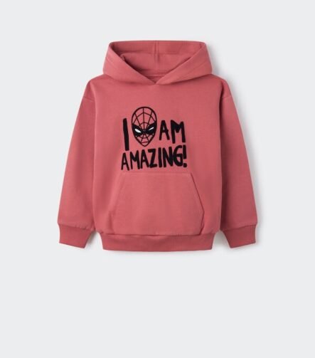 Erkek Çocuk Baskılı Kapüşonlu Sweatshirt