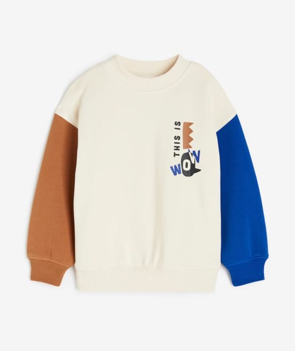 Erkek Çocuk Blok Renkli Sweatshirt