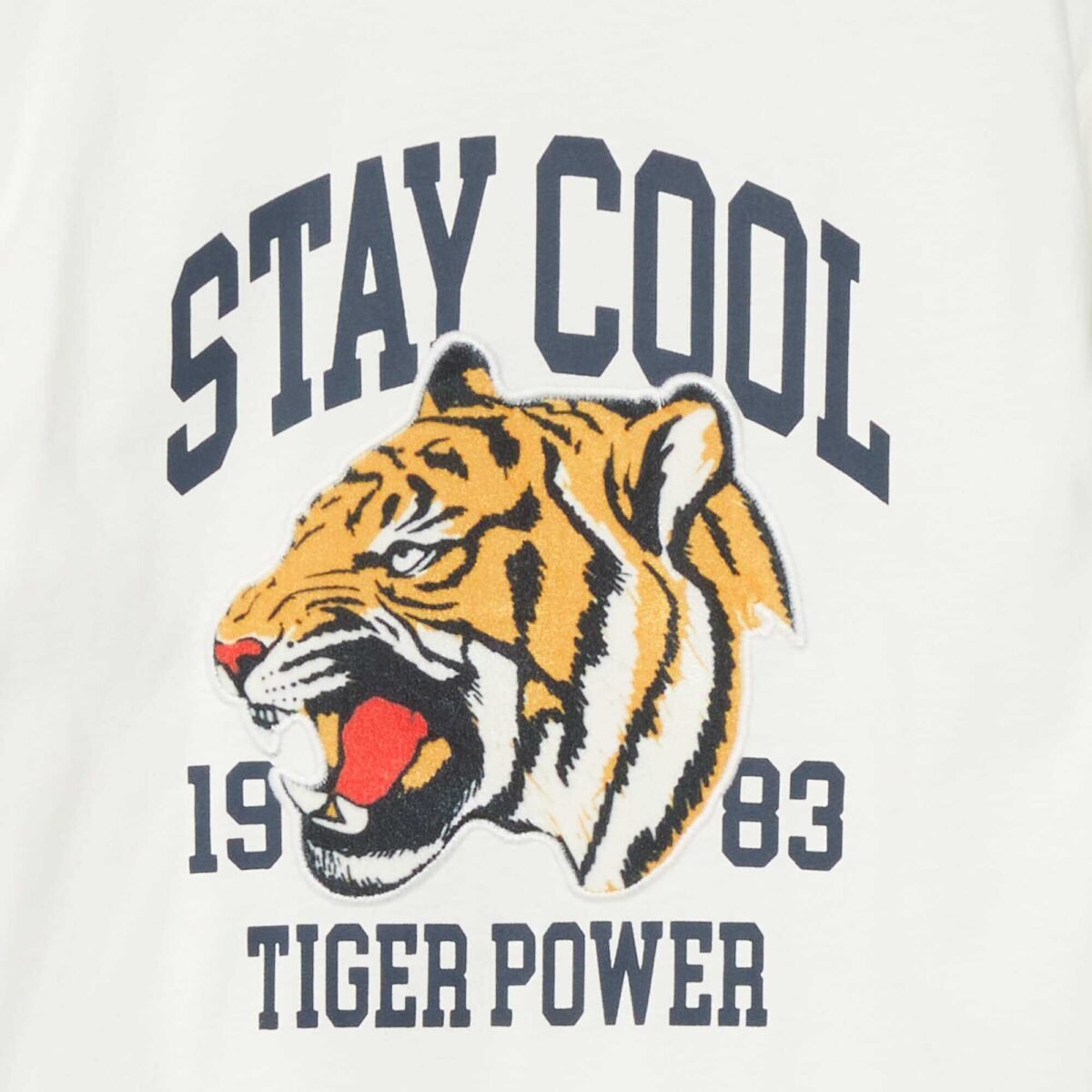 Erkek Çocuk Tiger Baskılı İnce Uzun Kollu T-Shirt - Görsel 2