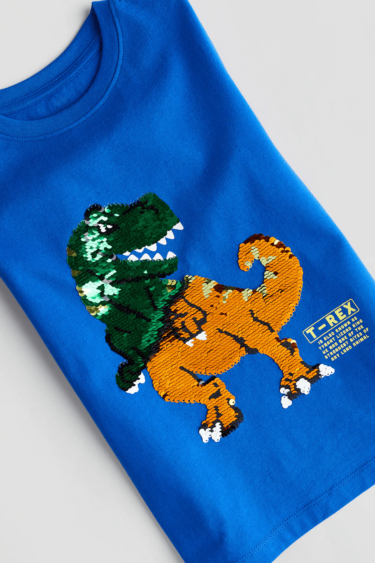 Erkek Çocuk T-Rex Pullu T-Shirt - Görsel 2