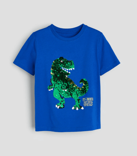 Erkek Çocuk T-Rex Pullu T-Shirt