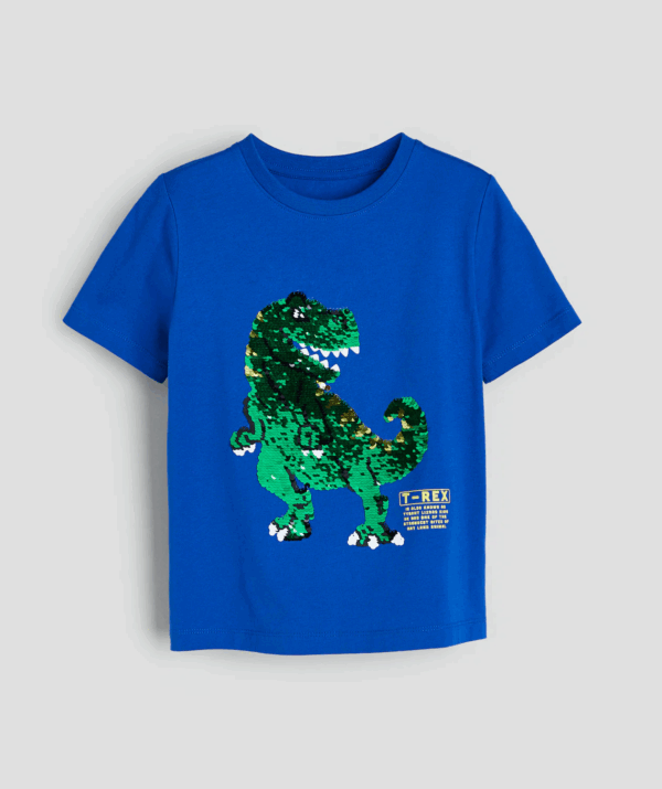Erkek Çocuk T-Rex Pullu T-Shirt