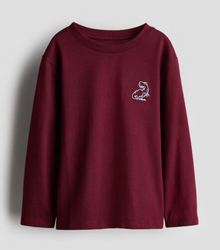Erkek Çocuk Dinozor Nakışlı T-Shirt