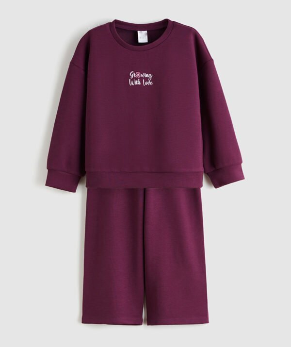 Kız Bebek Sweatshirt Eşofman Takım