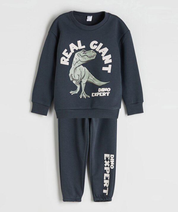 Erkek Çocuk Dinozor Baskılı Eşofman Takımı Antrasit