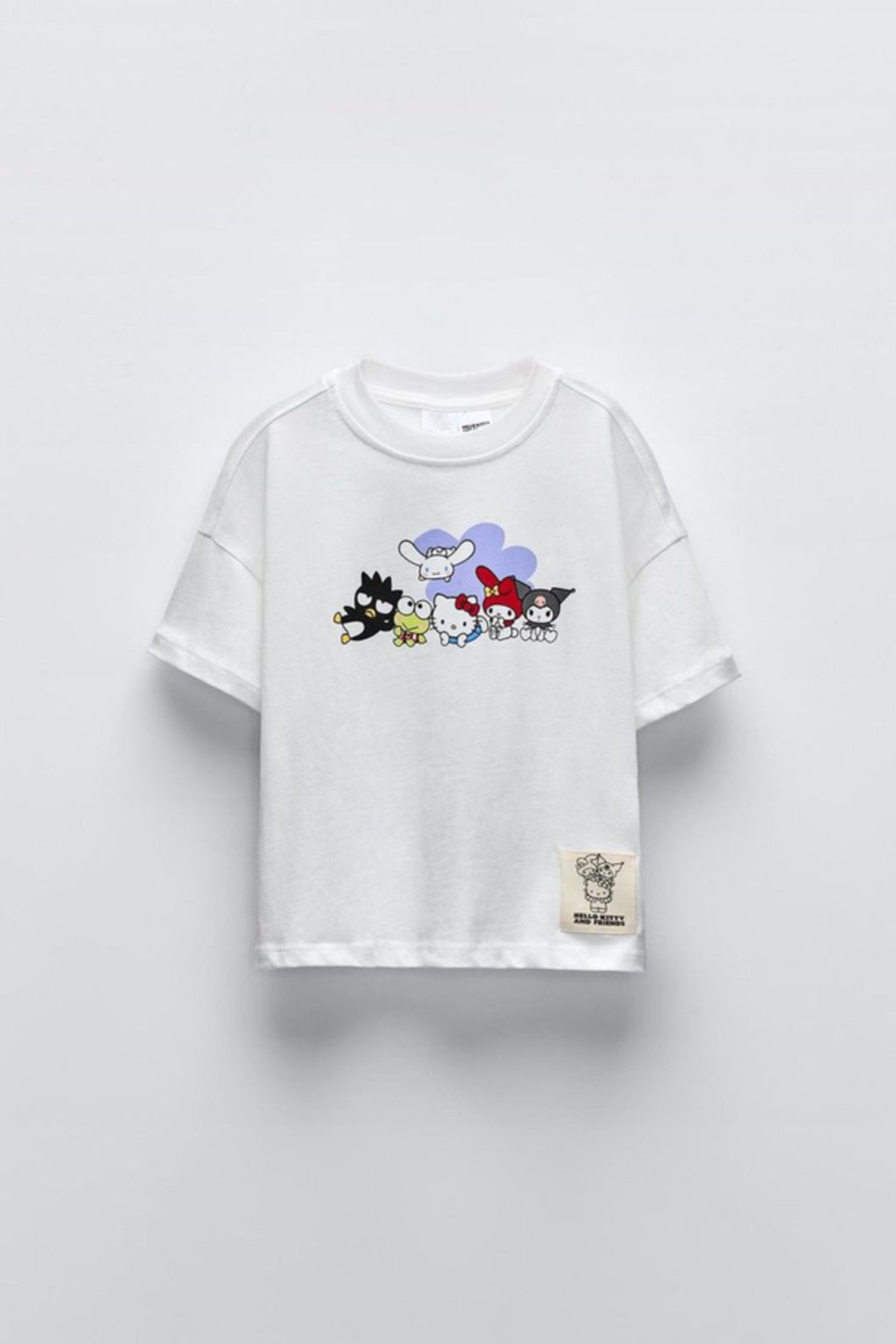 Kız Çocuk Baskılı T-Shirt Hello Kitty ve Arkadaşları